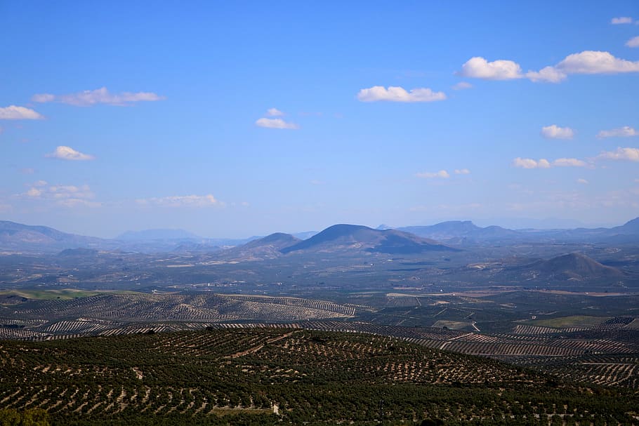 landscape, baeza, valley of the guadalquivir, jaén, andalusia, spain, sky, olive trees, road, trees