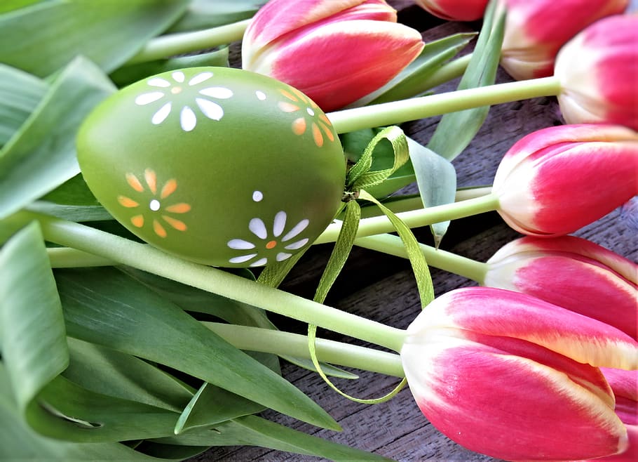 tulips, easter egg, flowers, easter, tulip bouquet, cut flowers, hen's egg, painted, easter decoration, custom