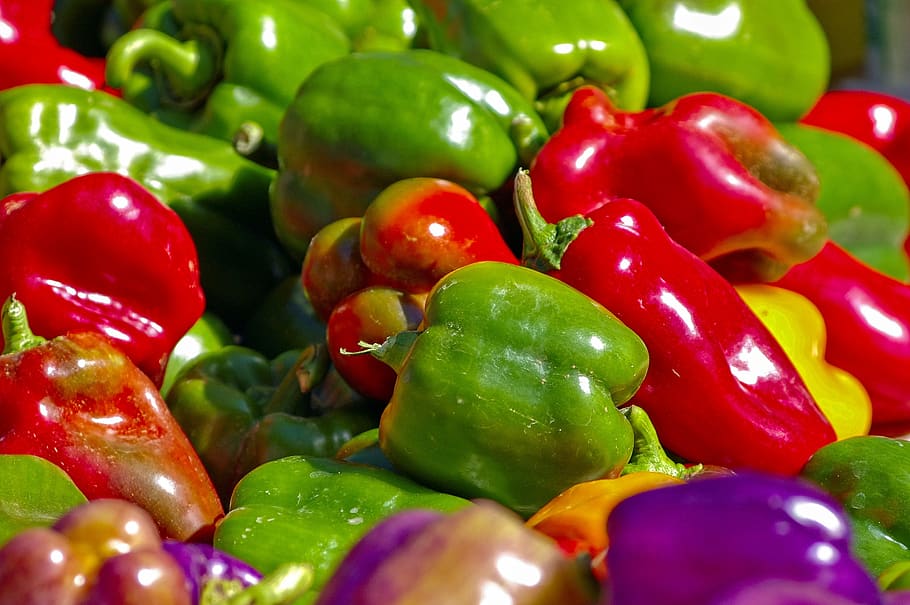 farmers market bell peppers, pepper, bell, vegetables, food, cooking, healthy, nutrition, fresh, purple