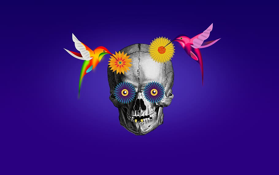 dia, de, los muertos, -, day, dead, illustration, skull, hummingbirds, saint