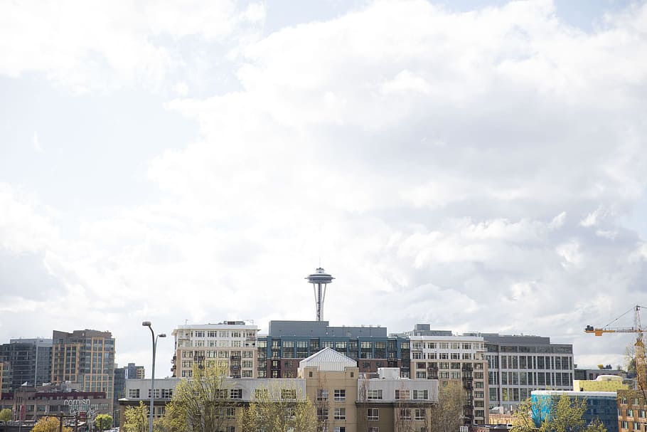 Panorámica, vista, aguja espacial, torre de observación, Seattle, Washington, arquitectura, paisaje urbano, nube, nublado