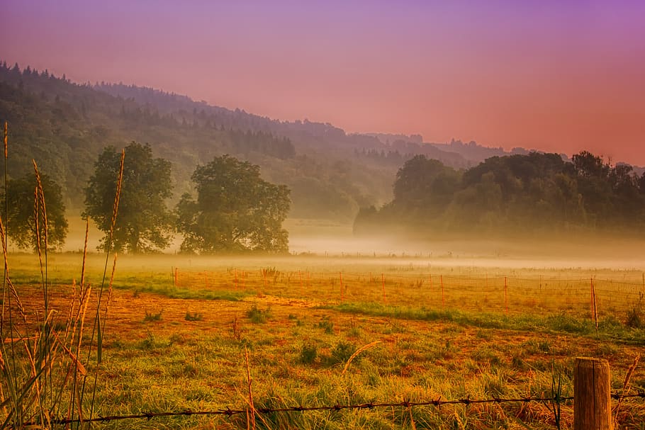 dawn, haze, ground fog, nebelschleier, field, fence, mood, rest, nature, landscape