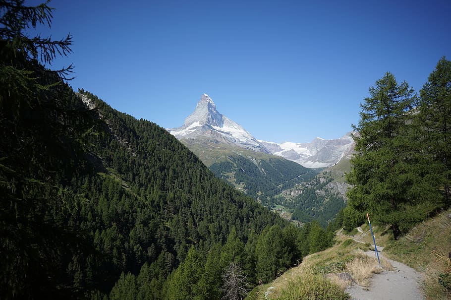 Matterhorn, Zermatt, Suiza, Alpes, montaña, árbol, planta, pintorescos - naturaleza, medio ambiente, belleza en la naturaleza