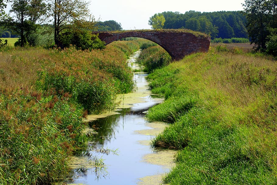 the brook, landscape, summer, bridge, view, stream, ditch, water, nature, meadow
