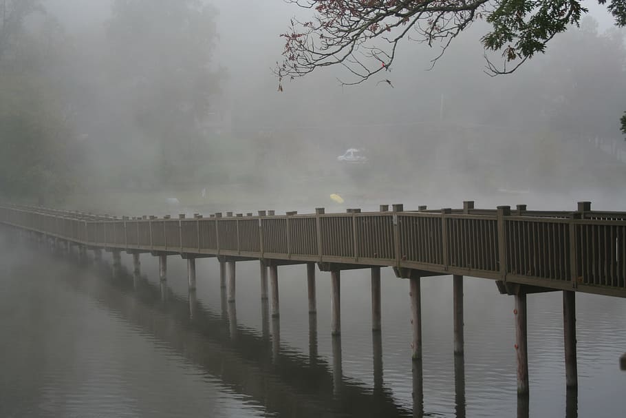footbridge, lake junaluska, foggy, morning., mist, morning, gray, walk, water, fog