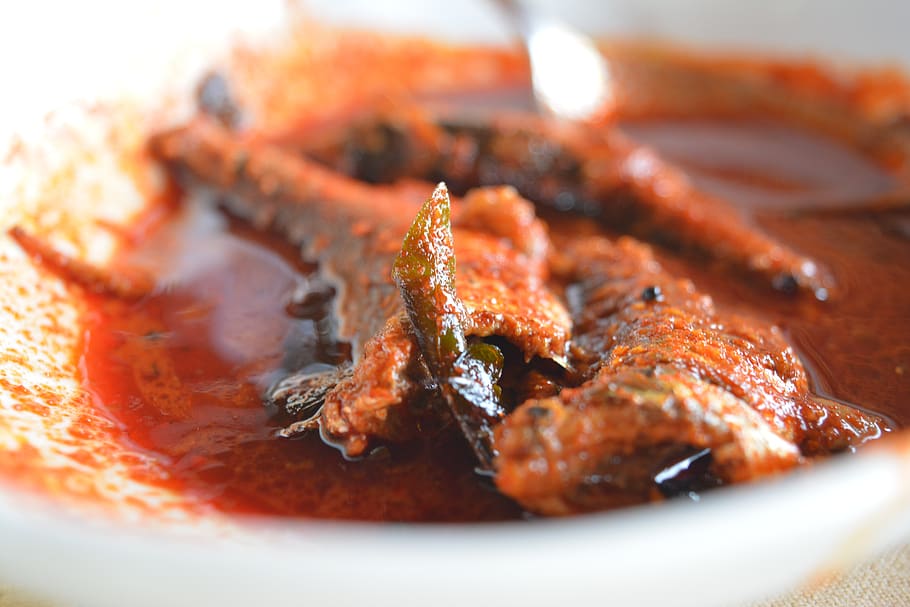 pescado al curry, salsa roja, pescado, comida india, no vegetariano, pescado de mar, mariscos, secado al sol, sardinella, Comida