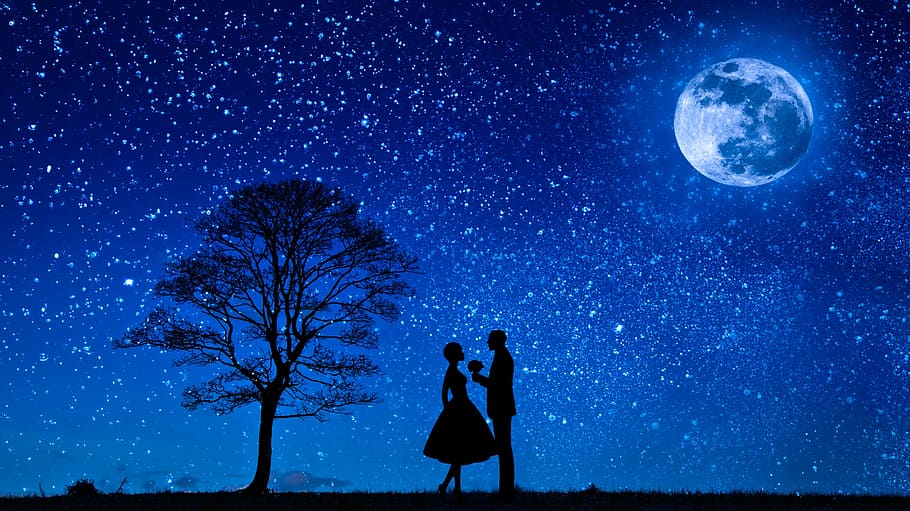 foto ilustrasi, dua, kekasih, bulan purnama, malam berbintang, malam., cinta, pasangan, bunga, proposal