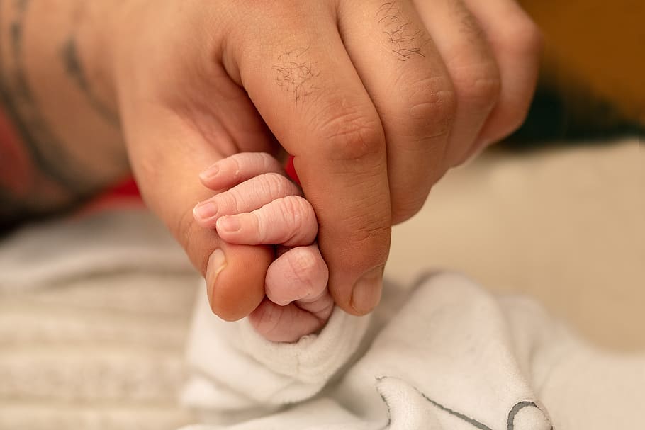 mano del bebé, recién nacido, mano pequeña, pequeña, mano, dedo, mano del hombre, contacto, amor, piel