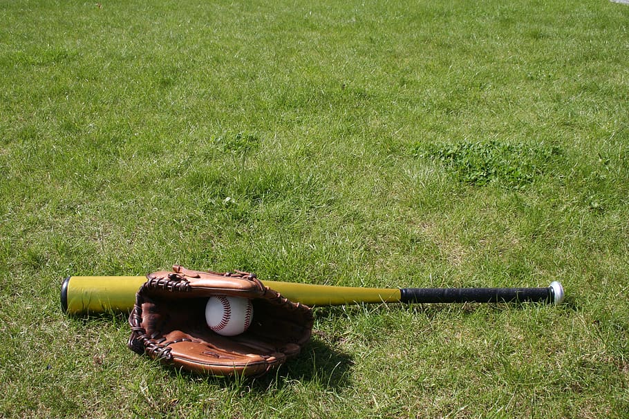 baseball, glove, bat, ball, grass, plant, field, land, green color, nature