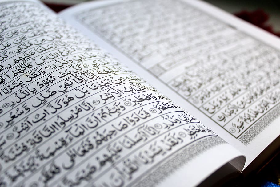 Ramadán, Corán, el Corán, el Islam, musulmanes, tadarus, santo, libro, enfoque selectivo, publicación