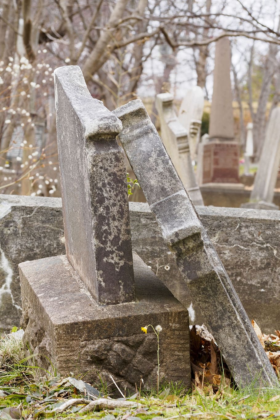 lápidas de cementerio viejo., abandonado, antiguo, otoño, fondo, cementerio, cristiano, cruz, muertos, muerte