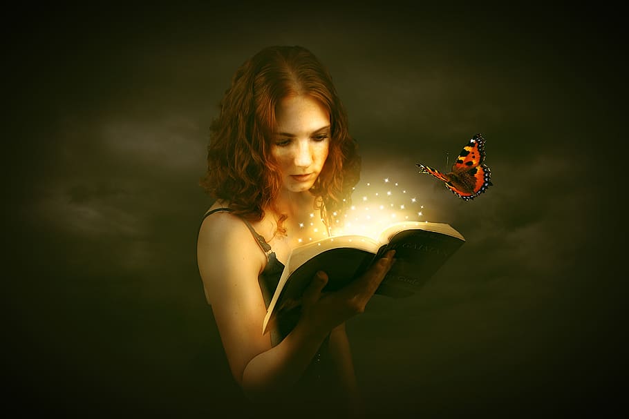 woman, human, read, learn, book, education, knowledge, wisdom, butterfly, star