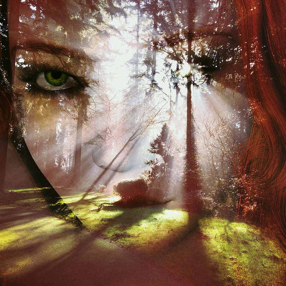 face, forest, woman, artistic, artfully, surreal, surrealism, eyes, green, trees