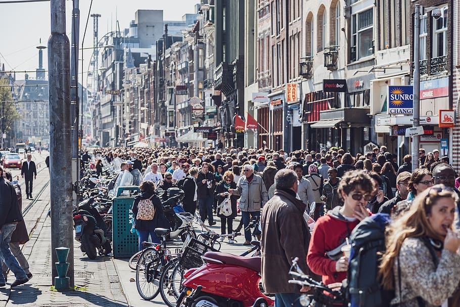 amsterdam, netherlands, crowd, people, mass, road, city, tourism, architecture, center