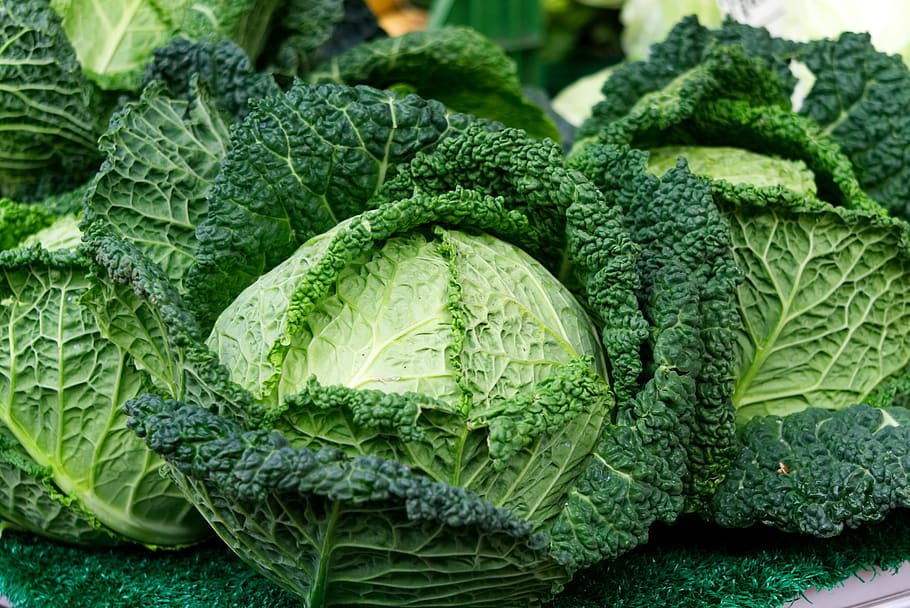 savoy, kohl, vegetables, savoy cabbage, vitamins, food, eat, head cabbage, green, cabbage