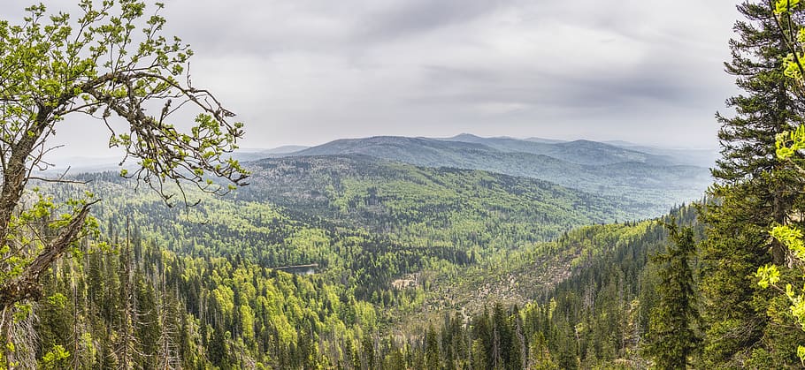 view, bavarian forest, bavaria, rachel, czech republic, border area, forests, trees, beautiful, imposing