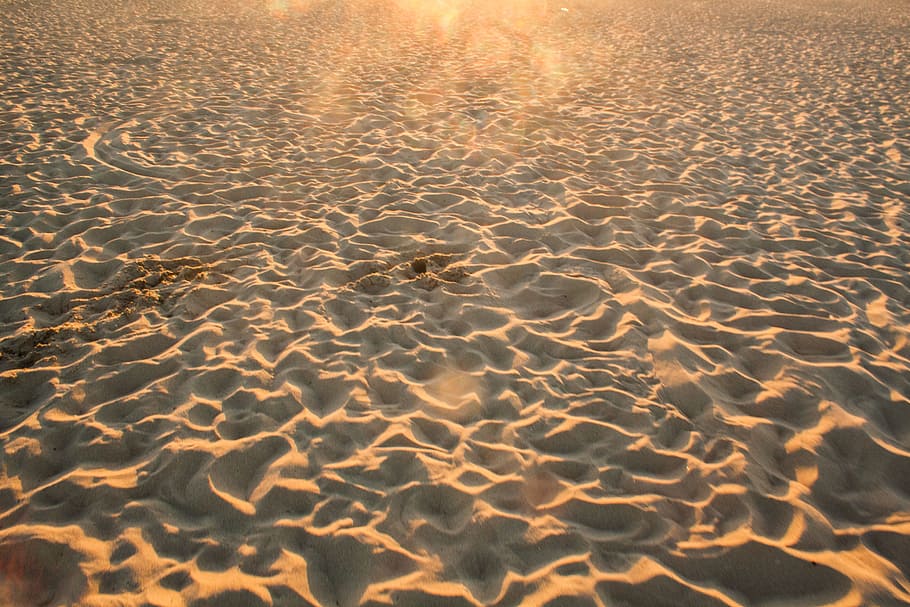 pantai, pasir, jejak kaki, musim panas, sinar matahari, latar belakang, tanah, tidak ada orang, pola, alam