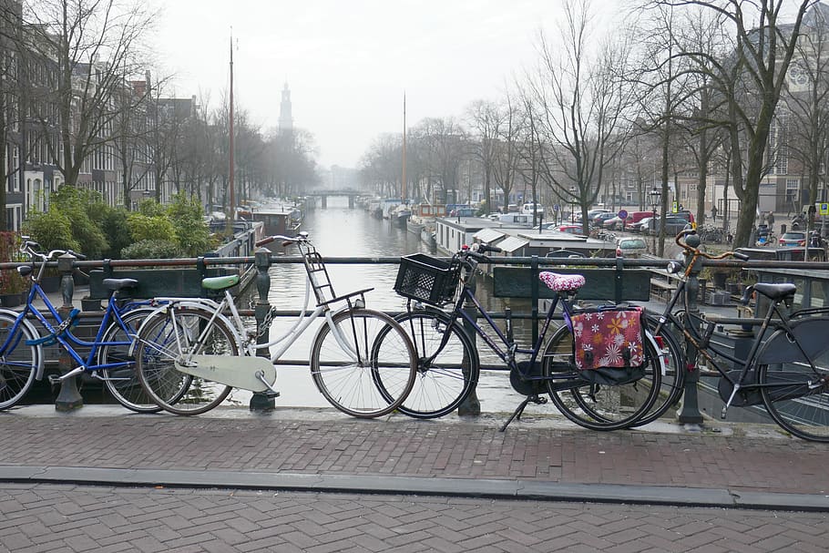 amsterdam, cycling, canal, netherlands, holland, transportation ...