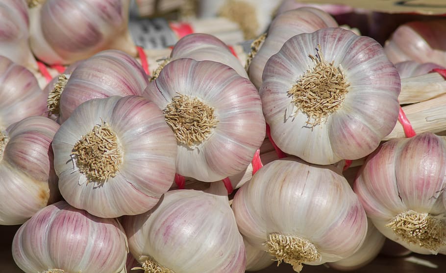 garlic, market, garden, harvest, agriculture, food and drink, freshness, food, ingredient, spice