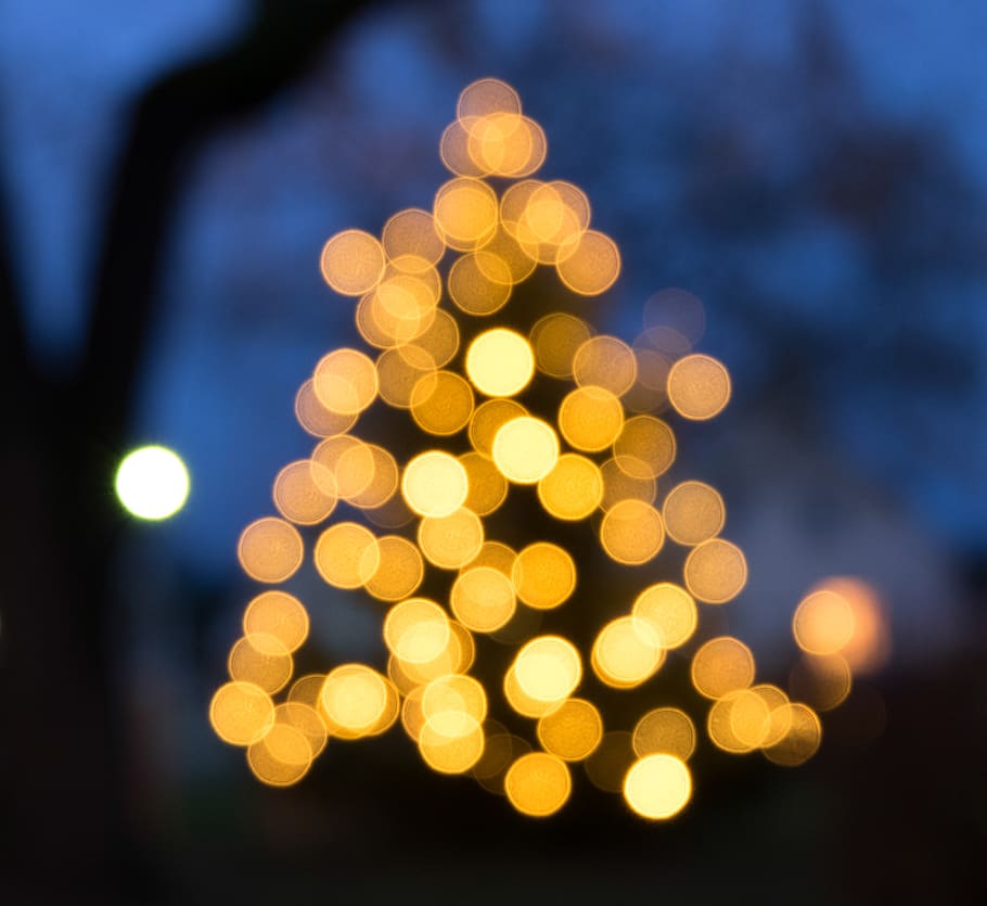 christmas, christmas tree, christmas time, lighting, christmas motif, illuminated, decoration, defocused, night, tree