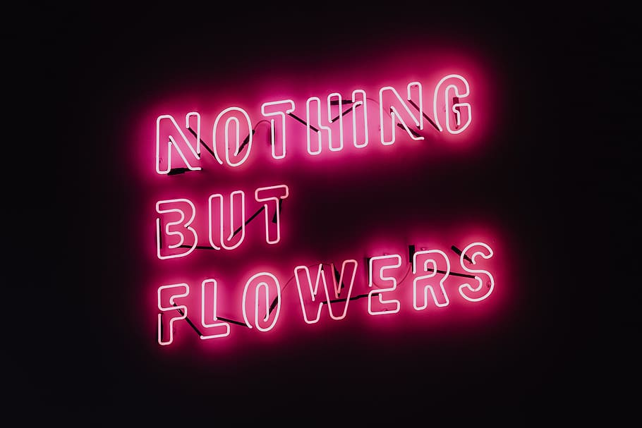 nada, flores, brilhando, néon, citação, luz, rosa, FDF, brilho, festival de design de lodz