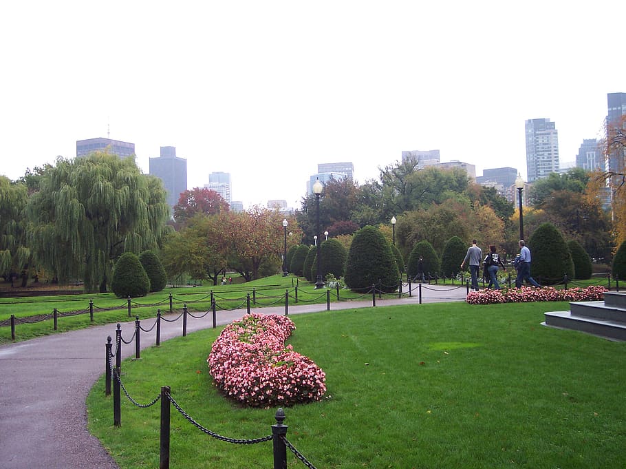 Boston, park, walkway, sidewalk, lawn, grass, city, plant, tree, sky
