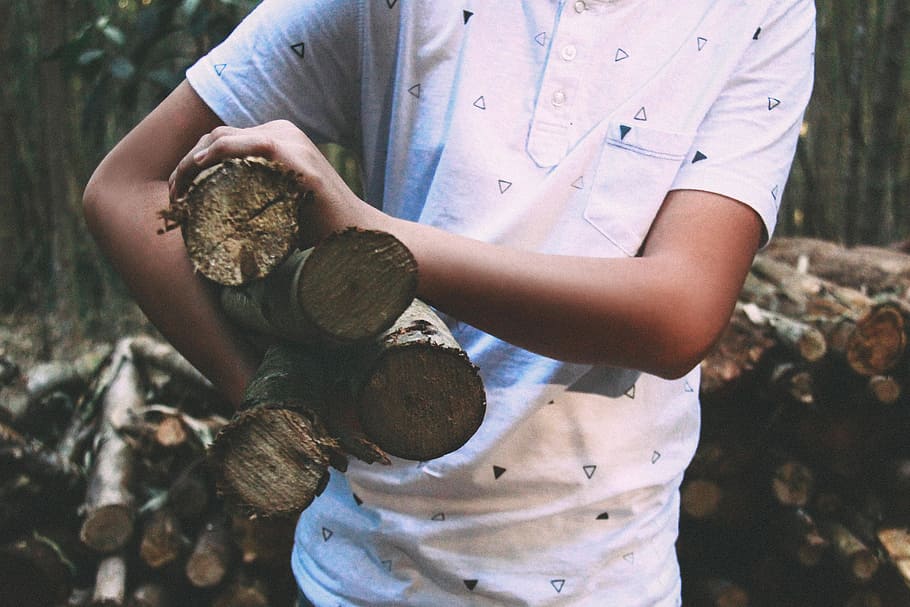 wood, logs, lumber, guy, man, people, forest, trees, nature, outdoors