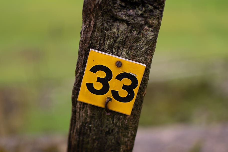 nomor, 33, pos, sisi kanal, dicat, hitam, putih, rumput, kawat berduri, basah