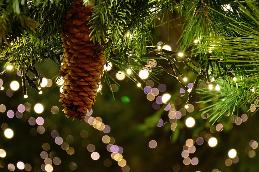 christmas garland, christmas motif, lights, shining, pine cones, fir green, decoration, christmas decoration, christmas, christmas market