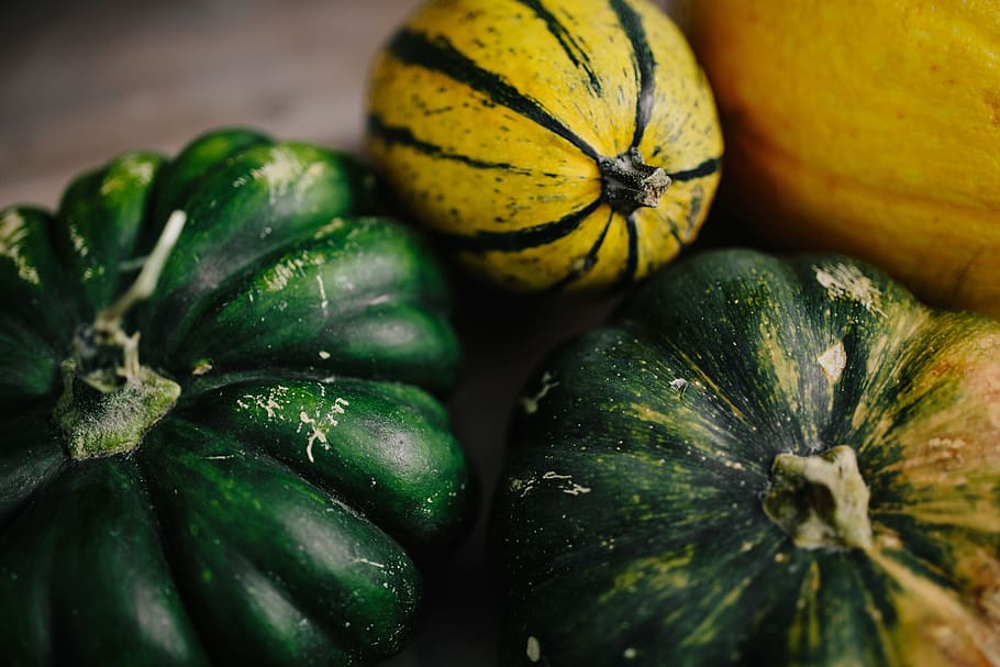 variety of pumpkins, healthy, health, autumn, fall, pumpkin, vegetable, halloween, seasonal, october