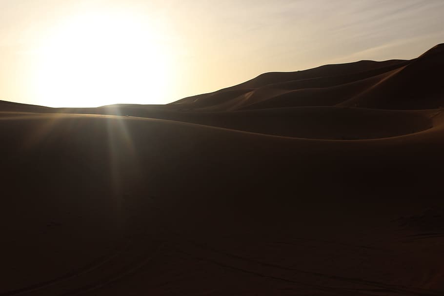 perdido, desierto, arena, sol, soleado, curva, curvas, cielo, medio ambiente, paisaje