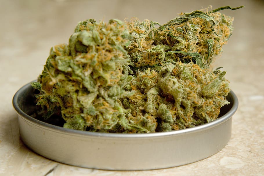 marijuana, drugs, herb, hemp, ganja, addiction, grass, green, nature, narcotic
