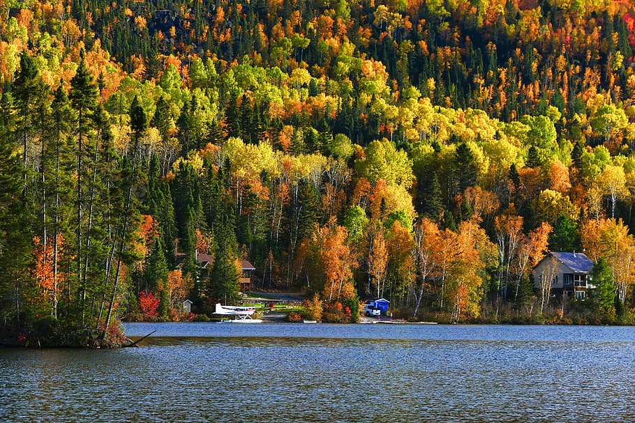landscape, fall, nature, trees, forest, lake, water, leaves, colors, autumn