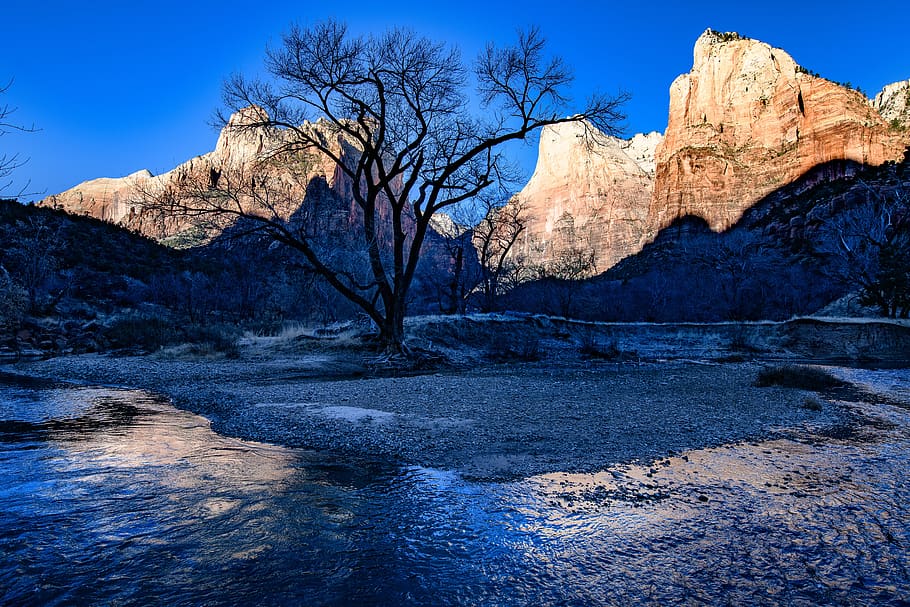 zion, utah, patriarchs, river, water, rock, tree, nature, rock - object, solid