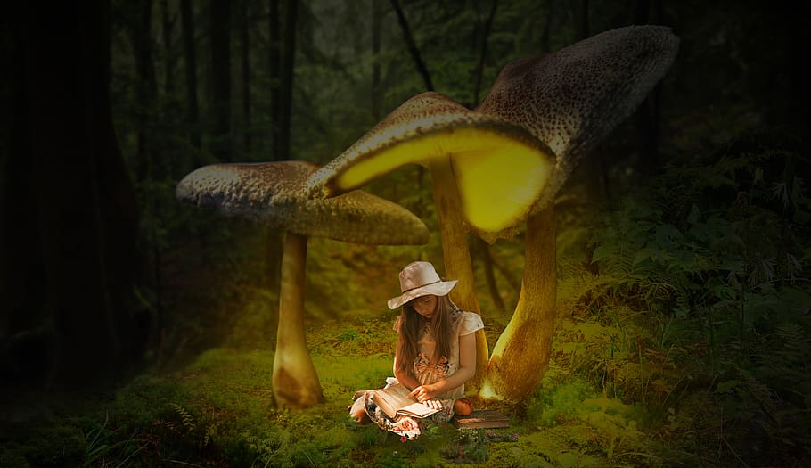 book, fantasy, girl, composing, fairytale, dream, mood, photomontage, mushroom, forest