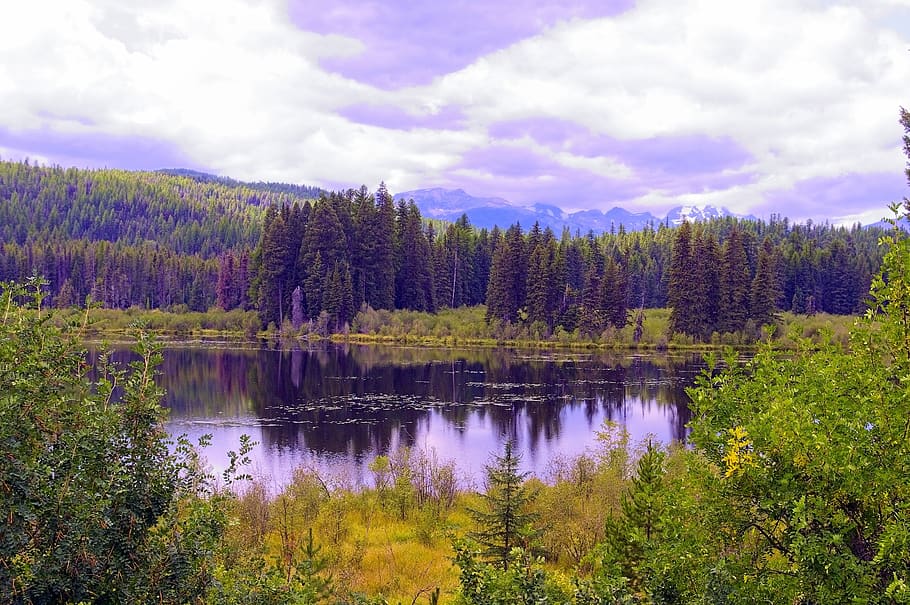 swan range, montana, mountains, forest, lake, landscape, nature, mountain, trees, clouds