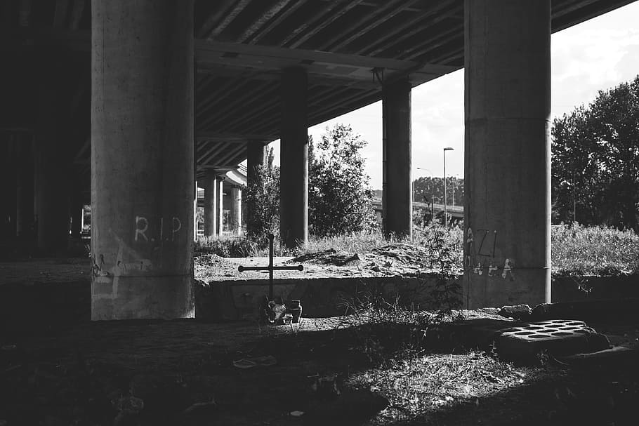 architecture, infrastructures, bridge, expressways, posts, beams, trees, black and white, lines, patterns