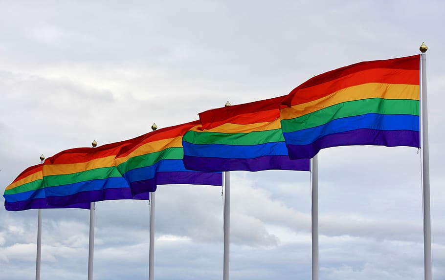 kebanggaan, hari kebanggaan, pelangi, warna, bendera, lgbt, lesbian, gay, homoseksual, cinta