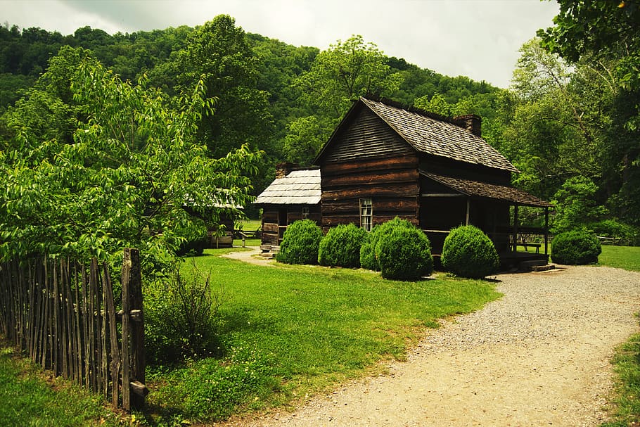 old cottage, mountains, forest, old, house, grass, wood, nature, landscape, rustic