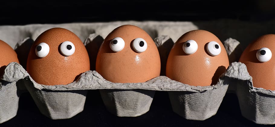 egg, egg box, egg carton, eggs heads, funny, sweating, society, eyes, curious, food
