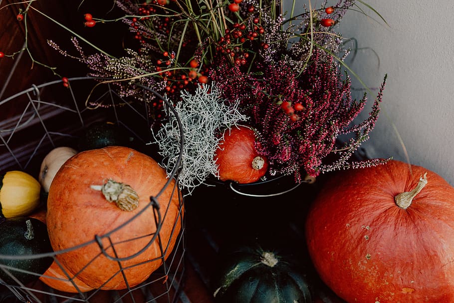 pumpkins, flowers, decoration, stairs, pumpkin, autumn, halloween, basket, fall, food and drink
