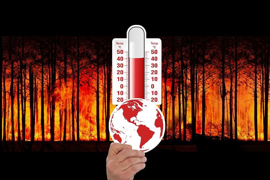 perubahan iklim, termometer, kebakaran hutan, hutan, api, panas, suhu, globe, pemanasan, global