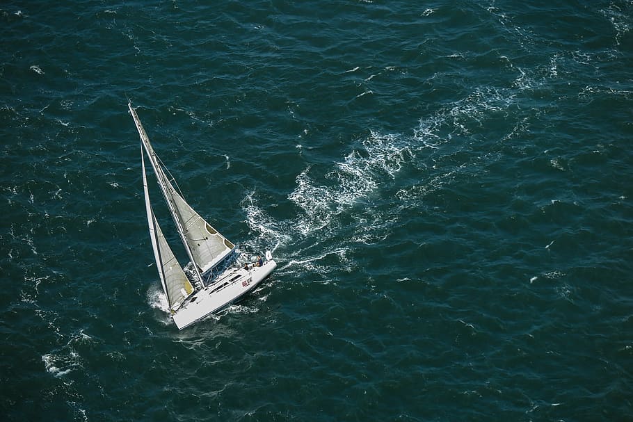 boat sailing, ocean, san francicso bay, bay., bay, bridge, california, sailboat, sailing, san francisco