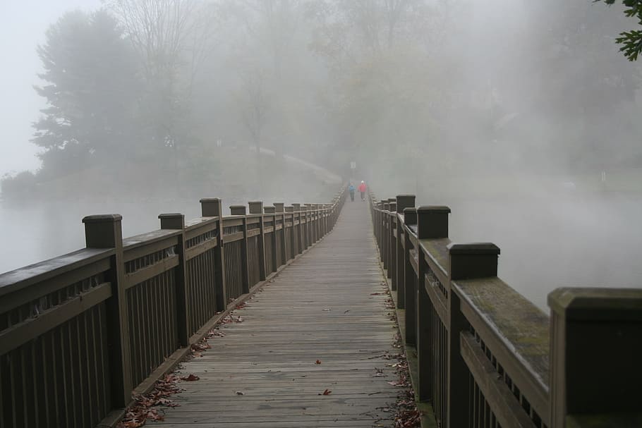 passarela, lago junaluska, nevoeiro, manhã., névoa, manhã, cinza, andar, grade, natureza