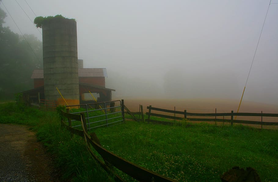 farm silo, misty, morning, farm, foggy, silo, fall, sky, fog, nature