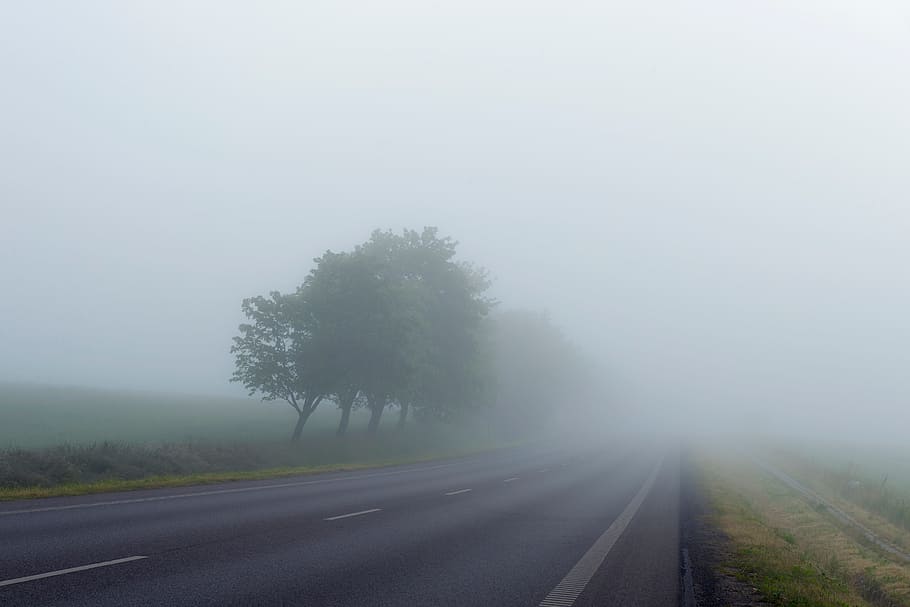 fog, trees, road, lane, path, grass, adventure, travel, trip, sky