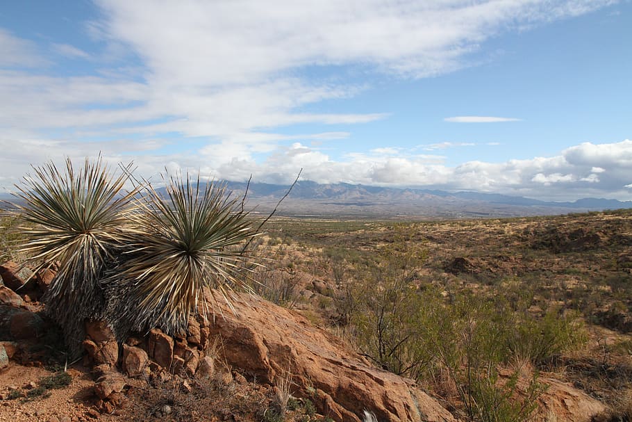 pemandangan, arizona, langit besar, kaktus, barat daya, di luar rumah, gurun, batu merah, langit, keindahan di alam