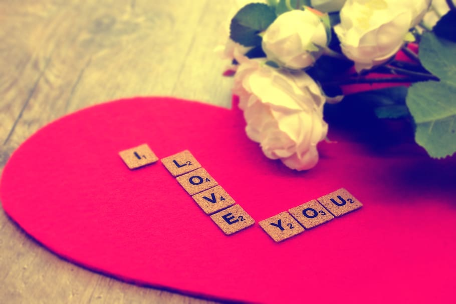 cinta, hati, mawar, bunga, mekar, mawar mekar, roman, romantis, kasih sayang, hari valentine