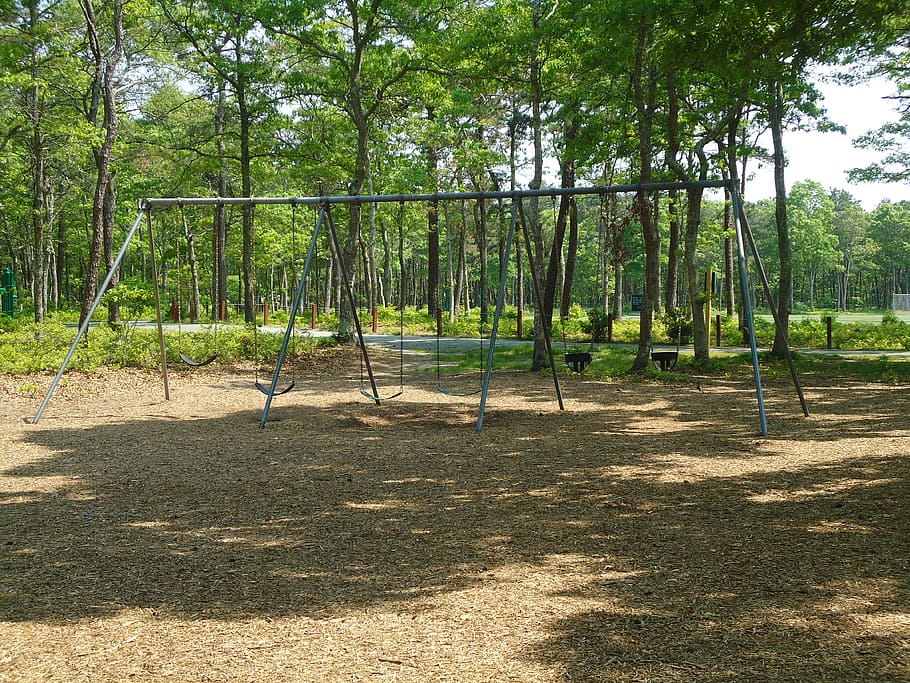 playground, swings, swing, set, tree, plant, land, nature, sunlight, day