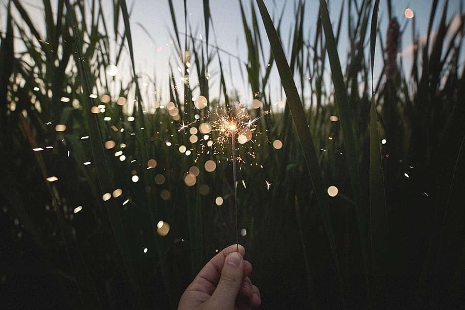 nature, field, grass, leaves, person, hand, hold, sparklers, fireworks, sparkle